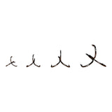 Trident Treble Hook HK Series - Pocket Pack